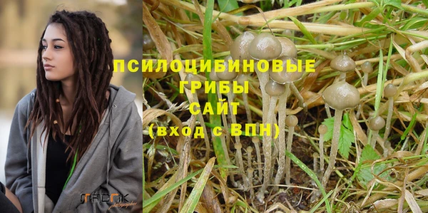 гидропоника Касимов